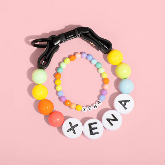 Dog Collar + Free Matching Bracelet
